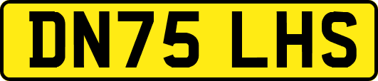 DN75LHS