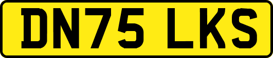DN75LKS