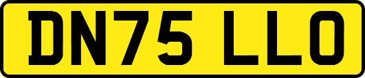 DN75LLO