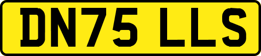 DN75LLS