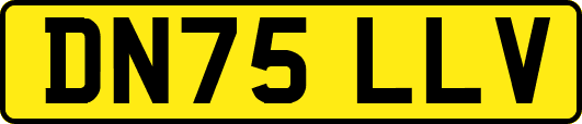 DN75LLV