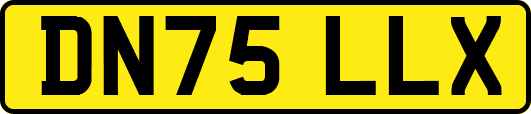 DN75LLX