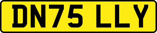 DN75LLY