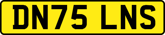 DN75LNS