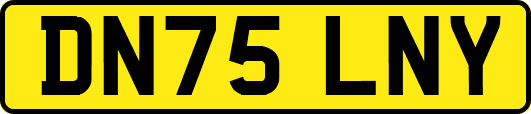 DN75LNY