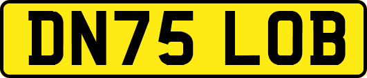 DN75LOB