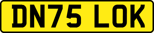 DN75LOK