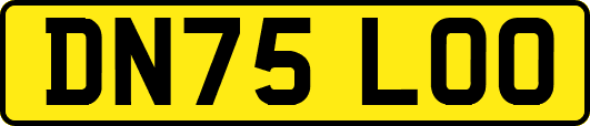 DN75LOO