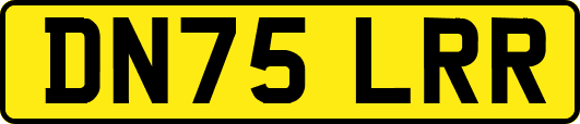 DN75LRR