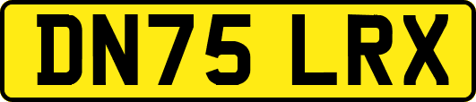 DN75LRX