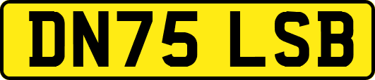 DN75LSB