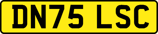 DN75LSC