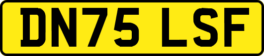 DN75LSF
