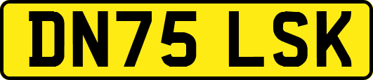 DN75LSK