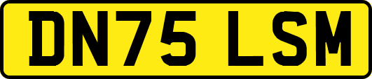 DN75LSM