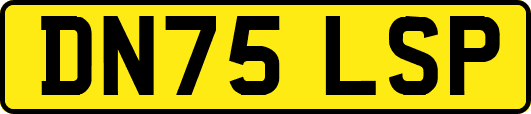 DN75LSP