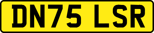 DN75LSR