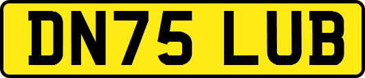 DN75LUB