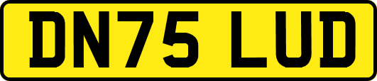 DN75LUD