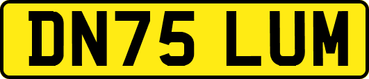 DN75LUM