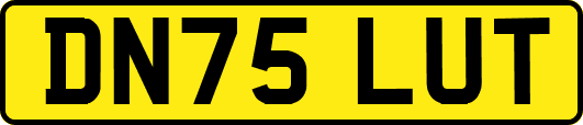 DN75LUT