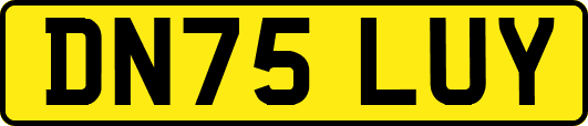 DN75LUY