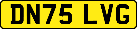 DN75LVG
