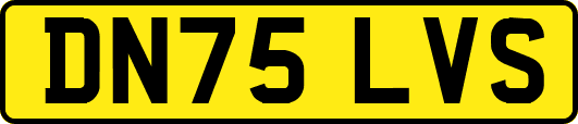 DN75LVS