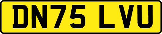 DN75LVU