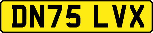 DN75LVX