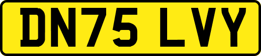 DN75LVY