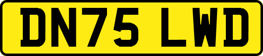 DN75LWD