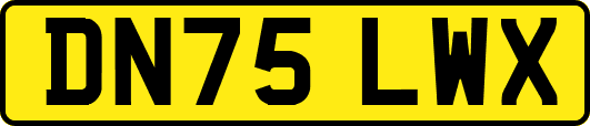DN75LWX