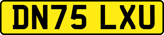 DN75LXU