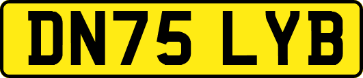 DN75LYB