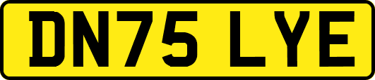 DN75LYE