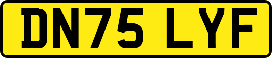DN75LYF