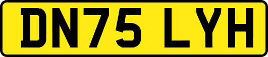 DN75LYH