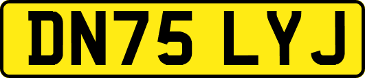 DN75LYJ