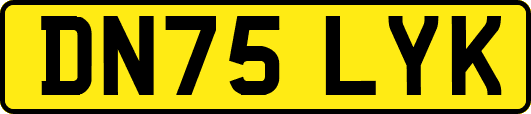 DN75LYK