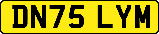 DN75LYM