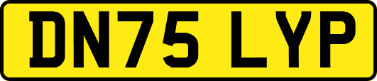 DN75LYP