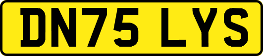 DN75LYS