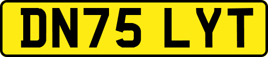 DN75LYT