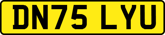 DN75LYU