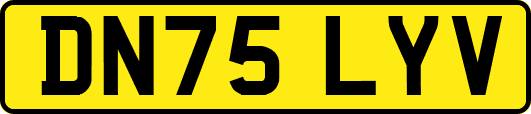 DN75LYV