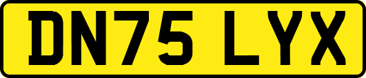 DN75LYX
