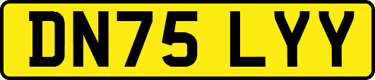 DN75LYY