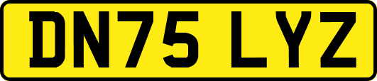 DN75LYZ