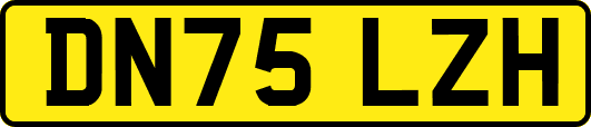 DN75LZH